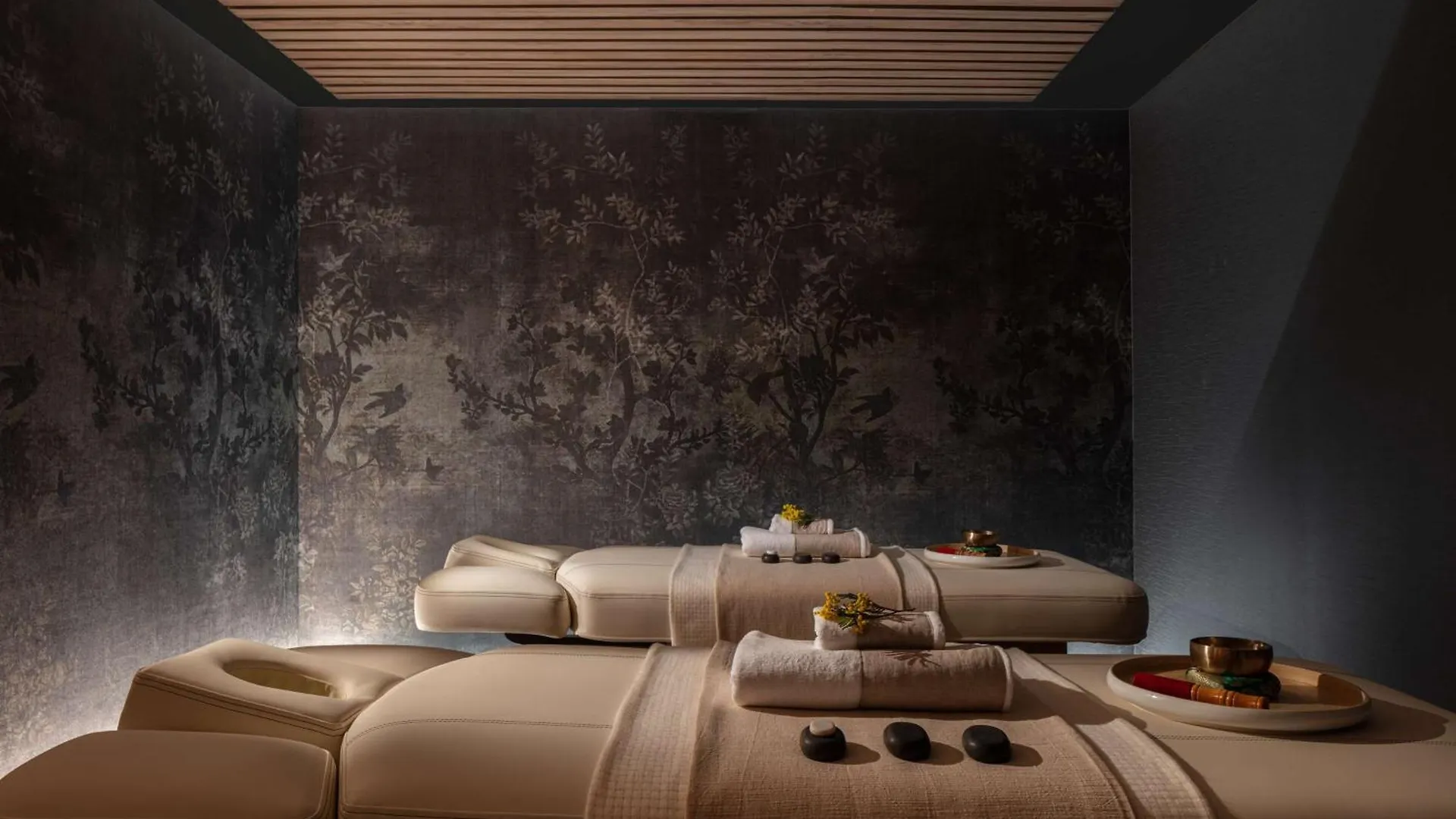 Anantara Plaza Nice Hotel